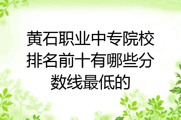 黄石职业中专院校排名前十有哪些分数线最低的