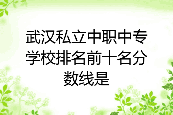 武汉私立中职中专学校排名前十名分数线是