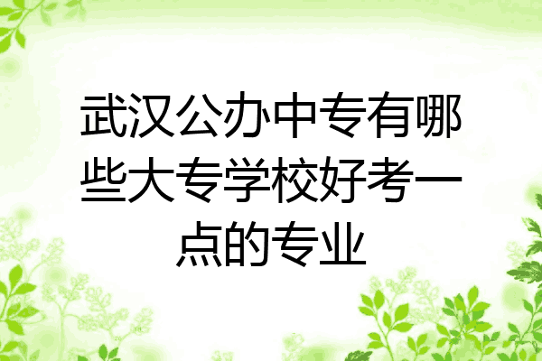 武汉公办中专有哪些大专学校好考一点的专业
