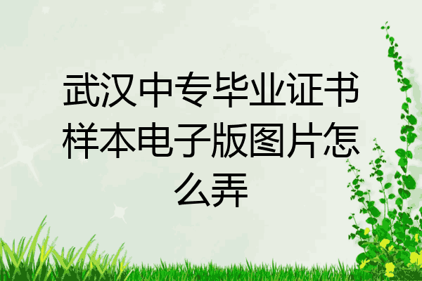 武汉中专毕业证书样本电子版图片怎么弄