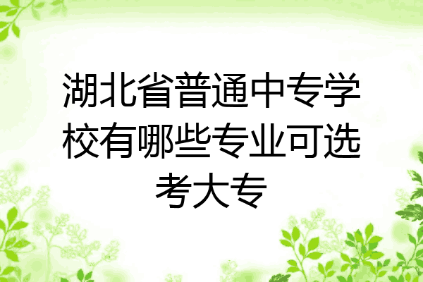 湖北省普通中专学校有哪些专业可选考大专