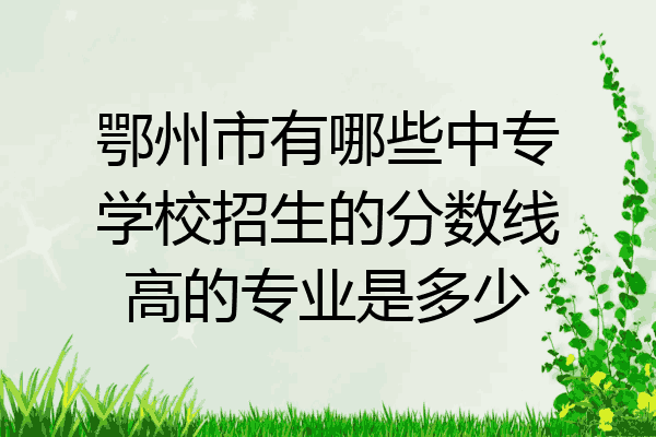 鄂州市有哪些中专学校招生的分数线高的专业是多少