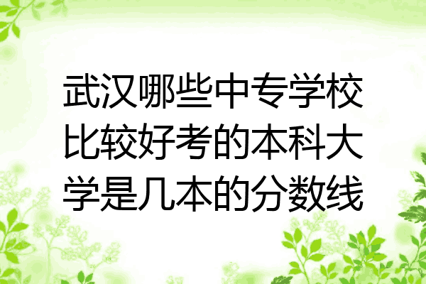 武汉哪些中专学校比较好考的本科大学是几本的分数线