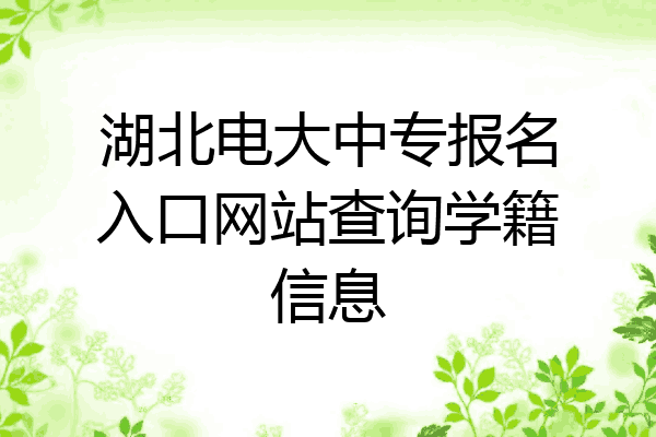 湖北电大中专报名入口网站查询学籍信息