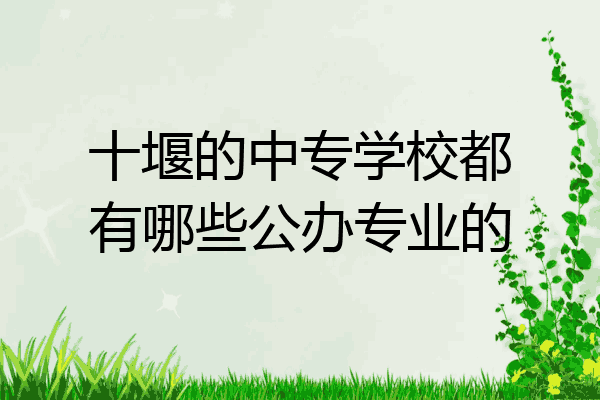 十堰的中专学校都有哪些公办专业的