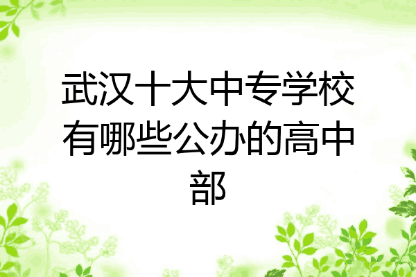 武汉十大中专学校有哪些公办的高中部