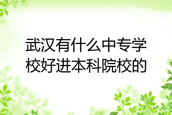 武汉有什么中专学校好进本科院校的