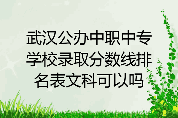 武汉公办中职中专学校录取分数线排名表文科可以吗