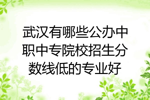 武汉有哪些公办中职中专院校招生分数线低的专业好