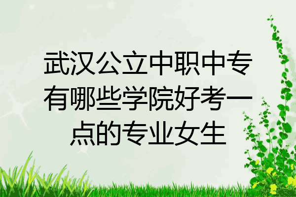 武汉公立中职中专有哪些学院好考一点的专业女生