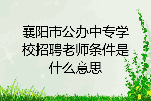 襄阳市公办中专学校招聘老师条件是什么意思