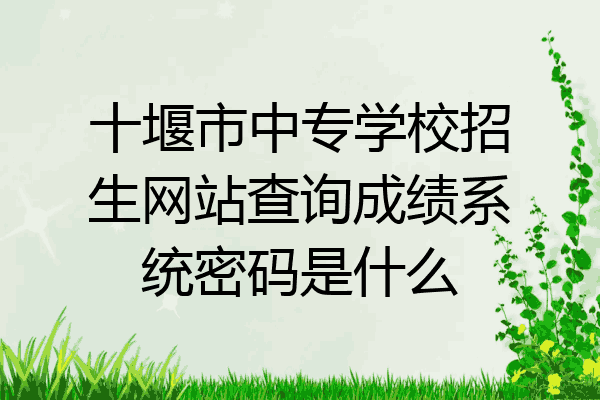 十堰市中专学校招生网站查询成绩系统密码是什么