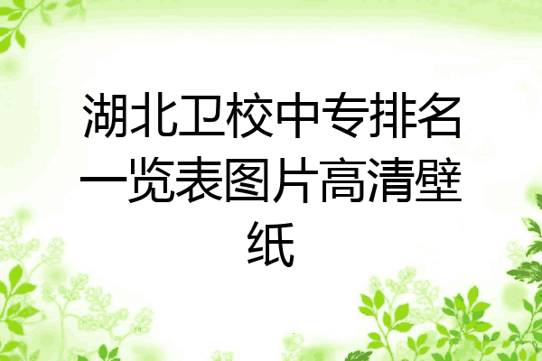 湖北卫校中专排名一览表图片高清壁纸