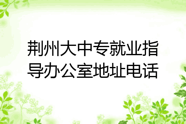荆州大中专就业指导办公室地址电话