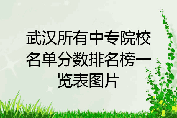 武汉所有中专院校名单分数排名榜一览表图片