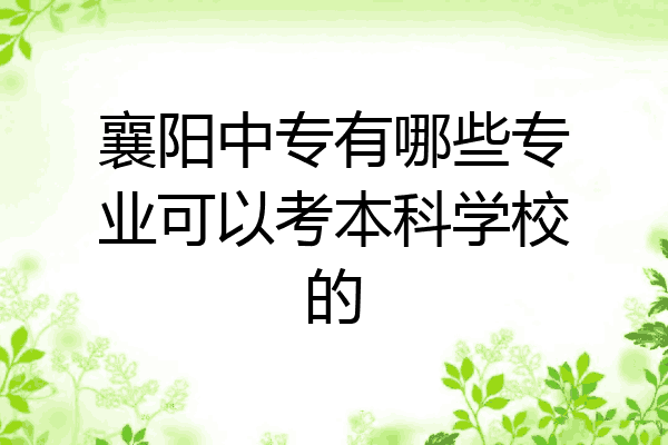 襄阳中专有哪些专业可以考本科学校的