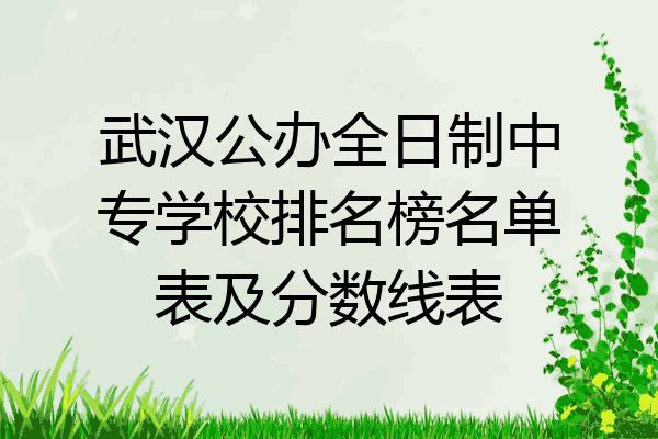 武汉公办全日制中专学校排名榜名单表及分数线表