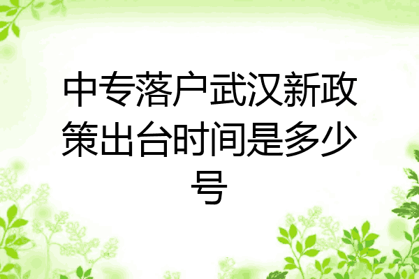 中专落户武汉新政策出台时间是多少号