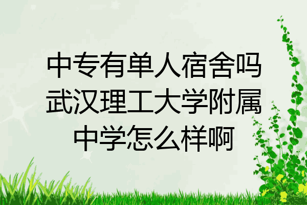 中专有单人宿舍吗武汉理工大学附属中学怎么样啊