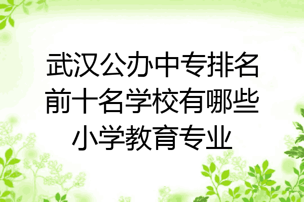 武汉公办中专排名前十名学校有哪些小学教育专业