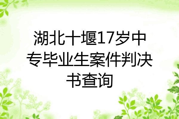 湖北十堰17岁中专毕业生案件判决书查询