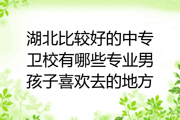 湖北比较好的中专卫校有哪些专业男孩子喜欢去的地方