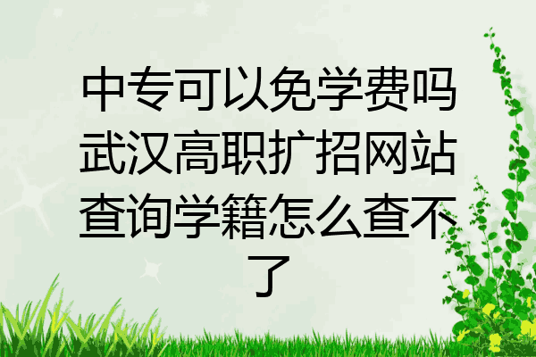 中专可以免学费吗武汉高职扩招网站查询学籍怎么查不了