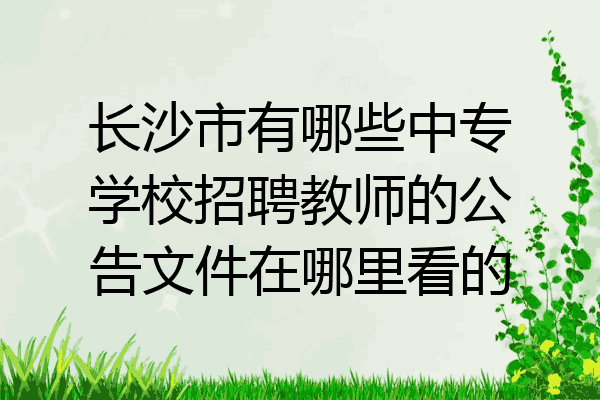 长沙市有哪些中专学校招聘教师的公告文件在哪里看的