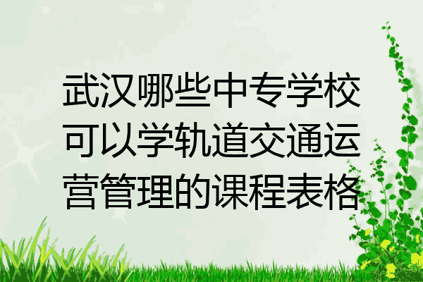 武汉哪些中专学校可以学轨道交通运营管理的课程表格