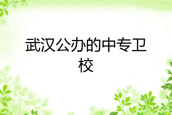 武汉公办的中专卫校