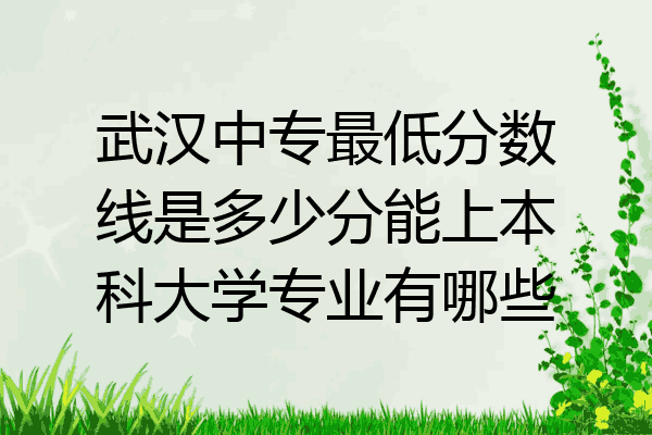武汉中专最低分数线是多少分能上本科大学专业有哪些