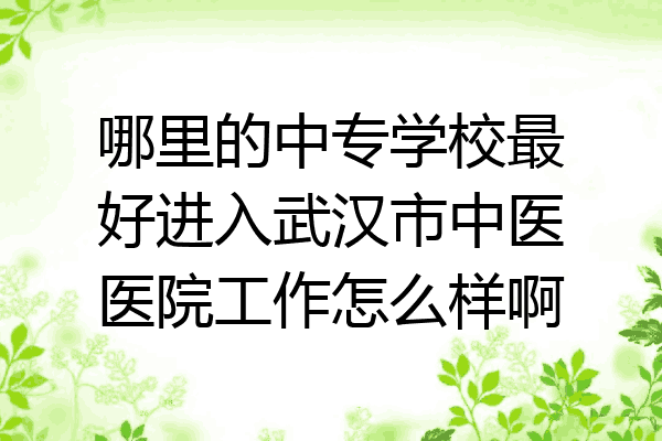 哪里的中专学校最好进入武汉市中医医院工作怎么样啊