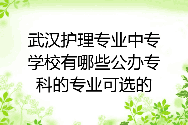 武汉护理专业中专学校有哪些公办专科的专业可选的