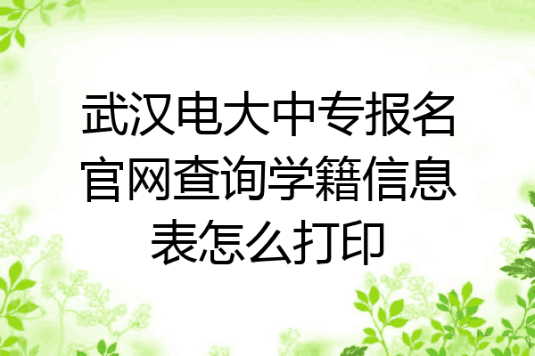 武汉电大中专报名官网查询学籍信息表怎么打印
