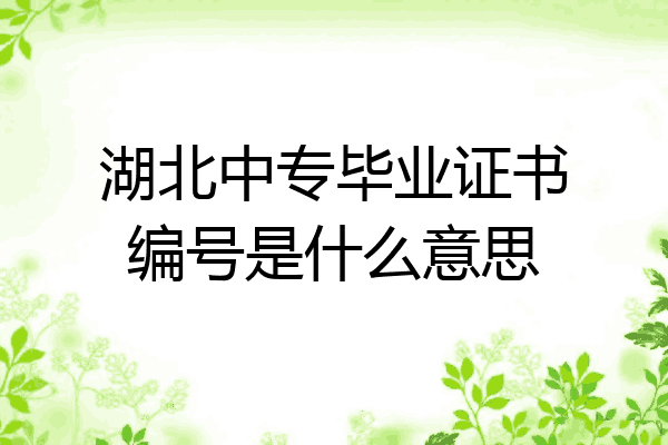 湖北中专毕业证书编号是什么意思