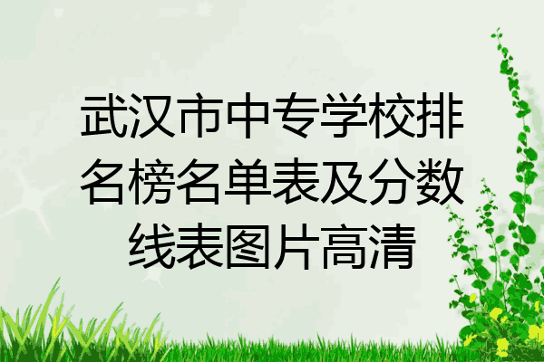 武汉市中专学校排名榜名单表及分数线表图片高清