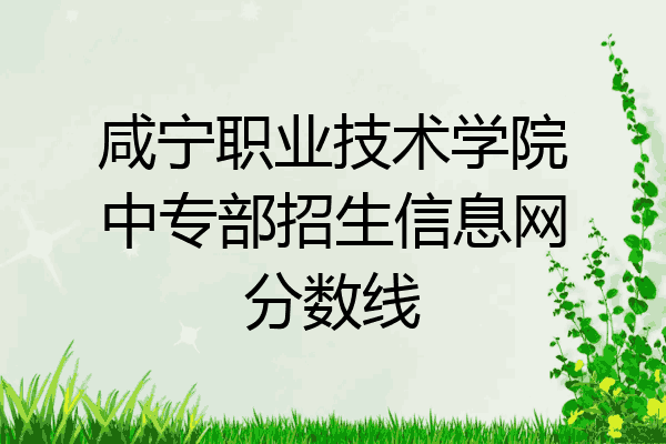 咸宁职业技术学院中专部招生信息网分数线