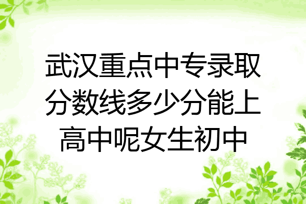 武汉重点中专录取分数线多少分能上高中呢女生初中