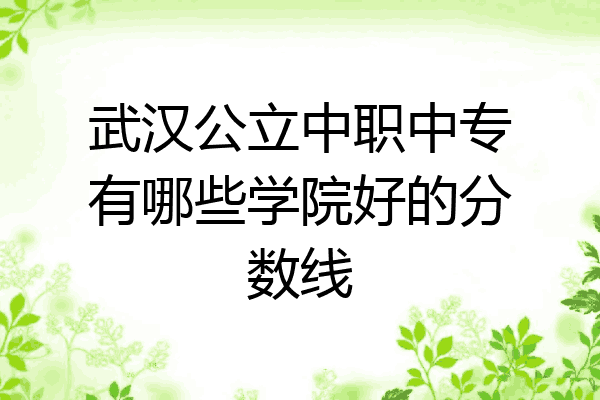 武汉公立中职中专有哪些学院好的分数线