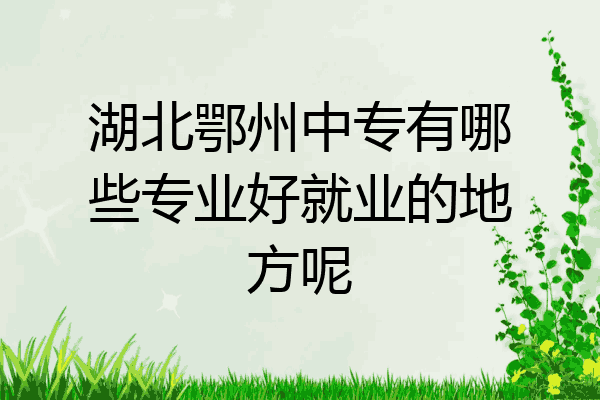 湖北鄂州中专有哪些专业好就业的地方呢
