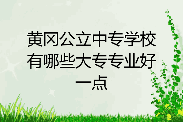 黄冈公立中专学校有哪些大专专业好一点