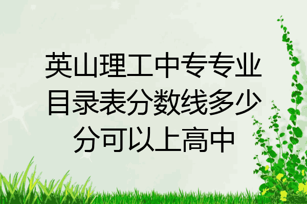 英山理工中专专业目录表分数线多少分可以上高中