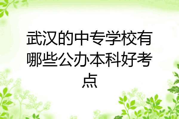 武汉的中专学校有哪些公办本科好考点
