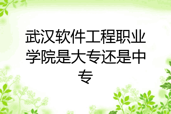 武汉软件工程职业学院是大专还是中专