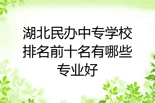 湖北民办中专学校排名前十名有哪些专业好
