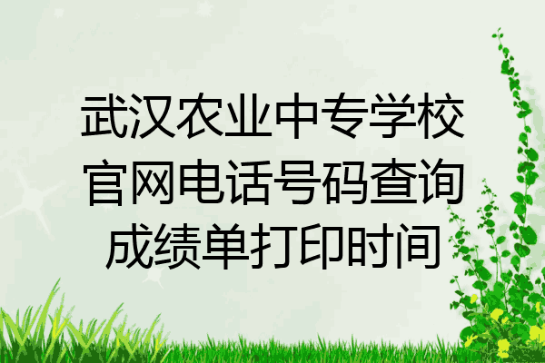 武汉农业中专学校官网电话号码查询成绩单打印时间