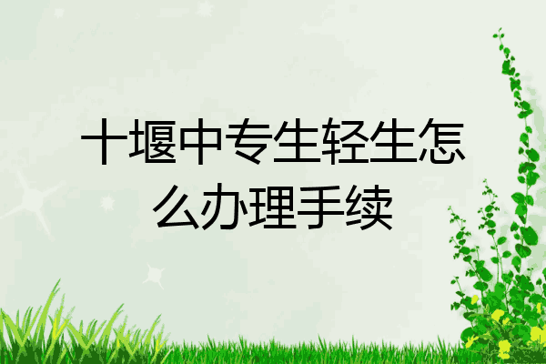 十堰中专生轻生怎么办理手续