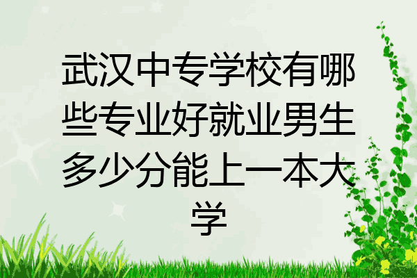 武汉中专学校有哪些专业好就业男生多少分能上一本大学