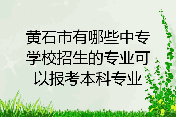 黄石市有哪些中专学校招生的专业可以报考本科专业