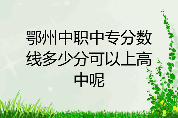 鄂州中职中专分数线多少分可以上高中呢